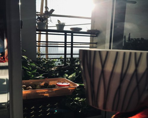 Peaceful morning with tea and sunlight